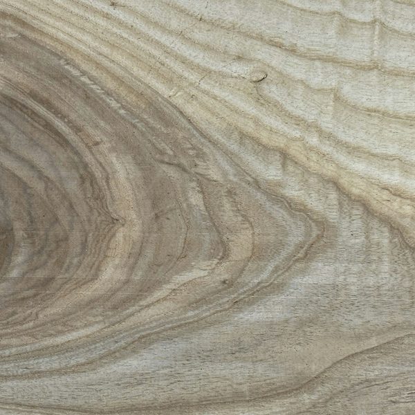 Maple wood grain